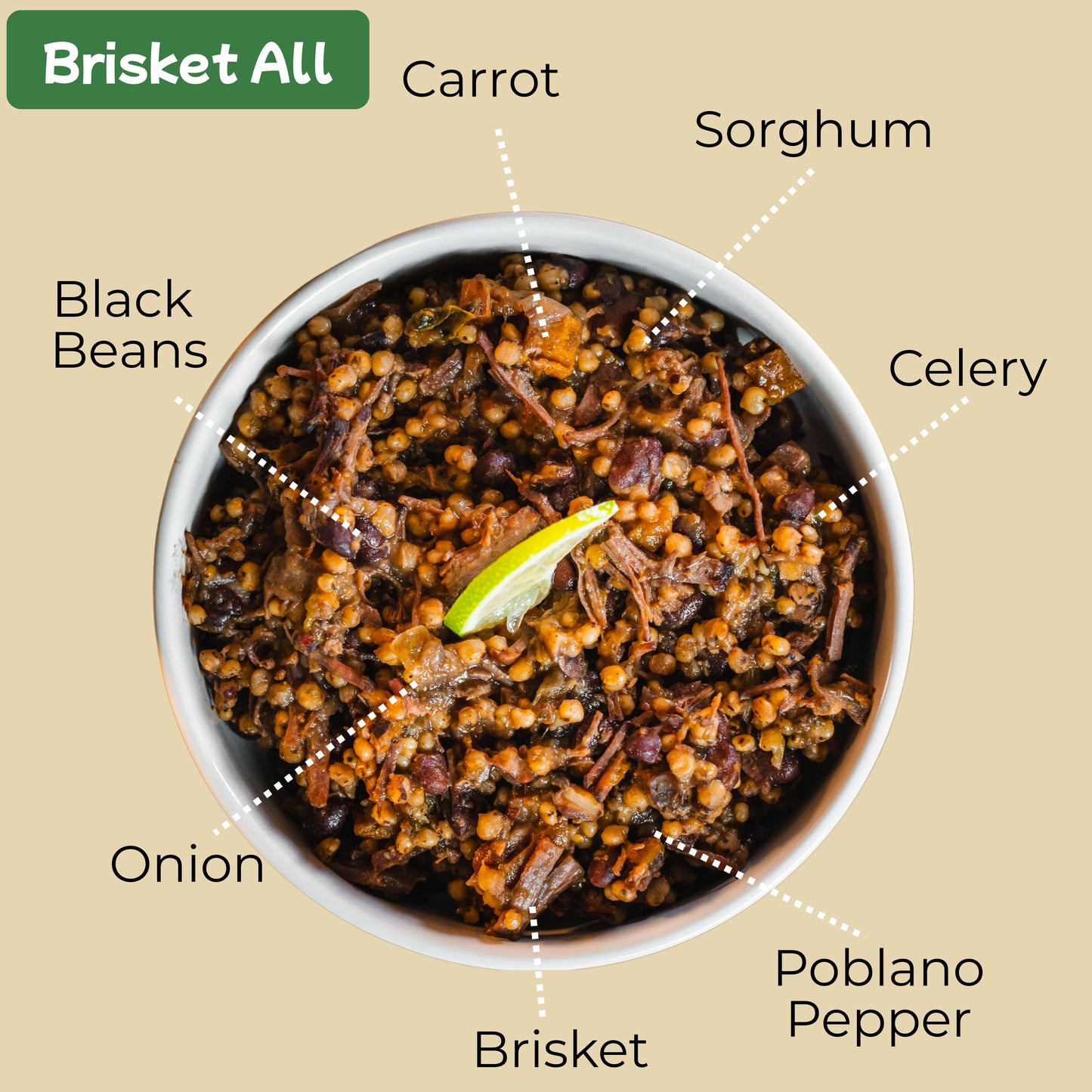 Brisket All (September 24)