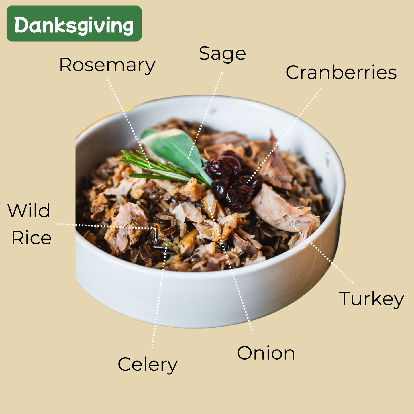 Danksgiving (Charlotte Strength)