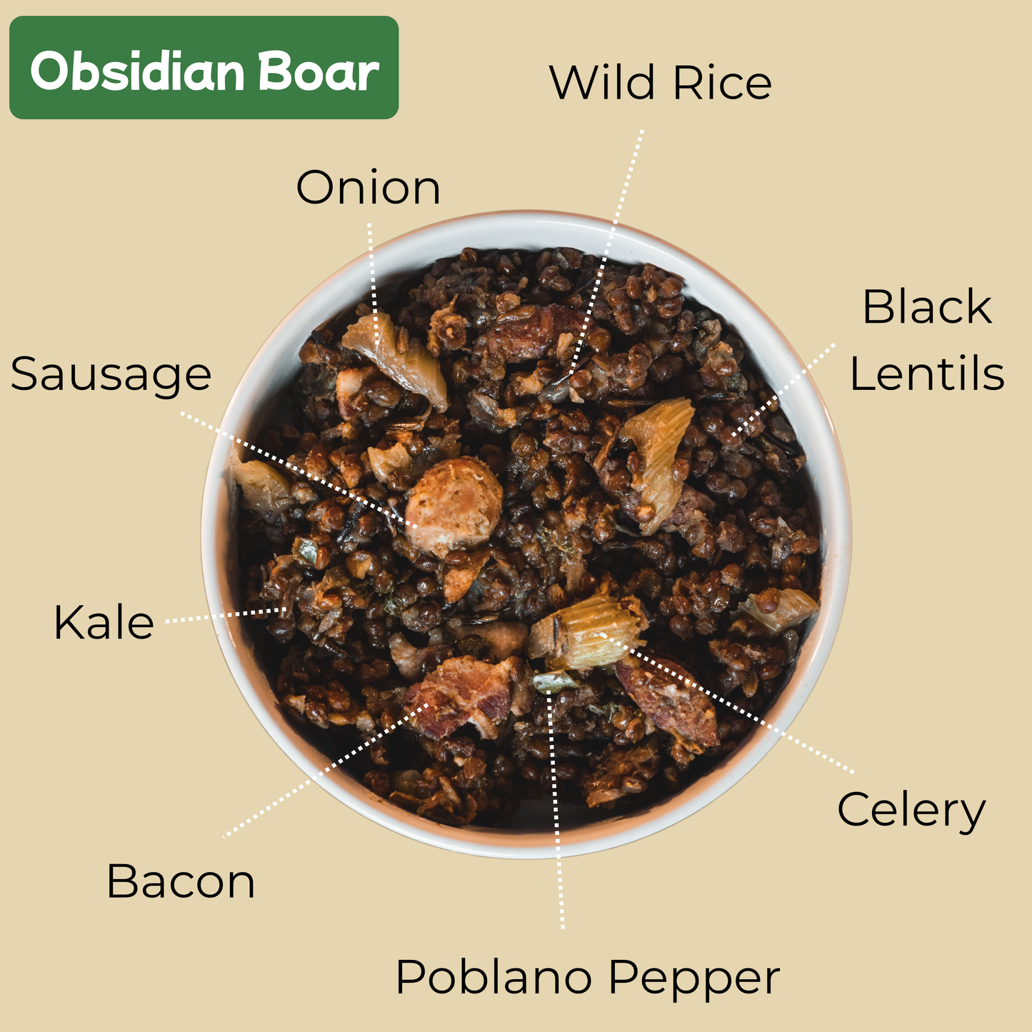 Obsidian Boar (October 26)